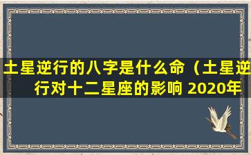 土星逆行的八字是什么命（土星逆行对十二星座的影响 2020年）